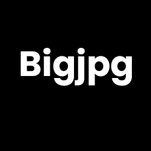 Bigjpg-在线图片无损放大